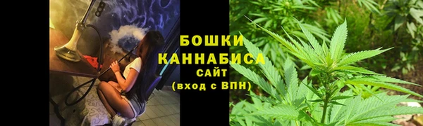 гидра Покачи