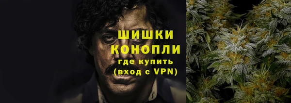 индика Покров