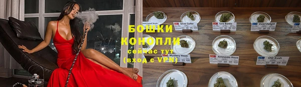 индика Покров