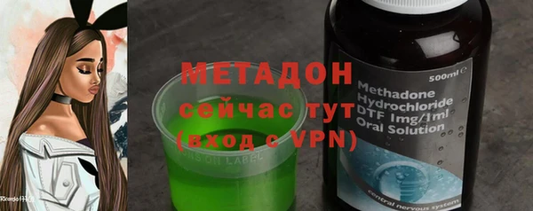 гидра Покачи