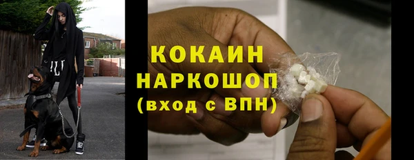 индика Покров