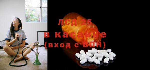 гидра Покачи