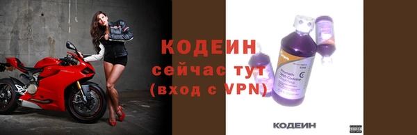 гидра Покачи