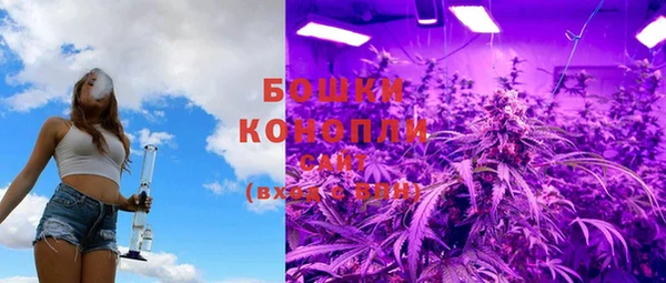 индика Покров