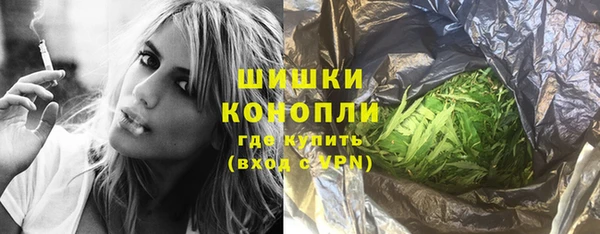 индика Покров
