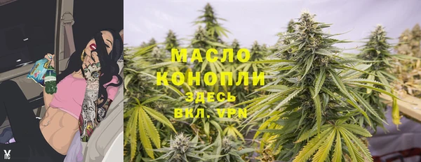 гидра Покачи