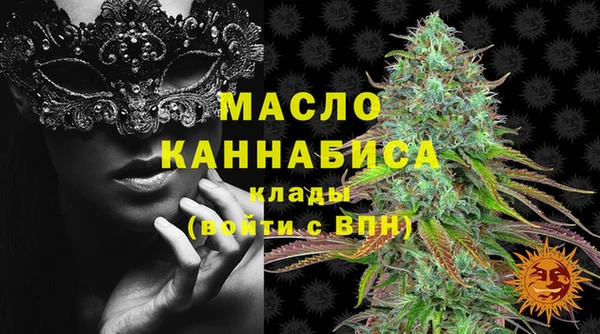 индика Покров