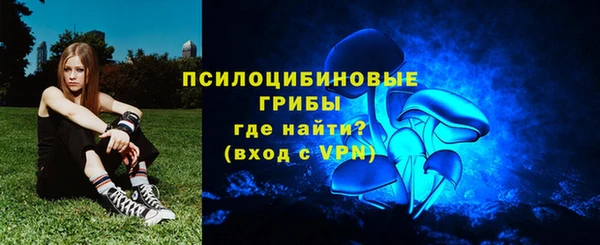 гидра Покачи