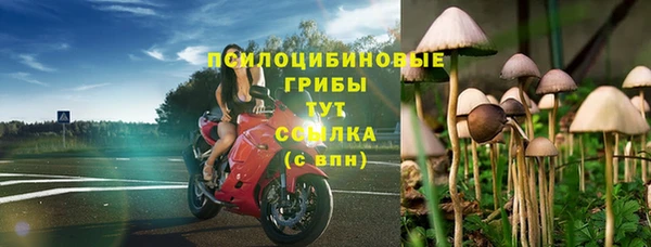 Альфа ПВП Покровск