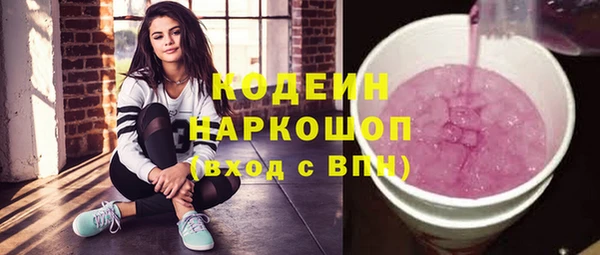 индика Покров