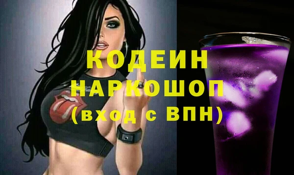 крисы Горняк