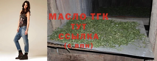 индика Покров