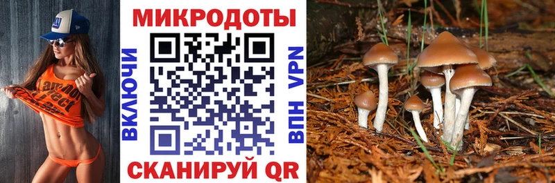 Псилоцибиновые грибы мухоморы  закладки  Ак-Довурак 
